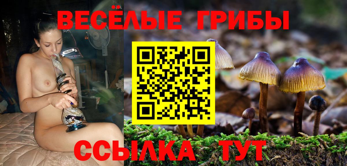 наркотики  Вход с VPN  Златоуст  Галлюциногенные грибы ЛСД 